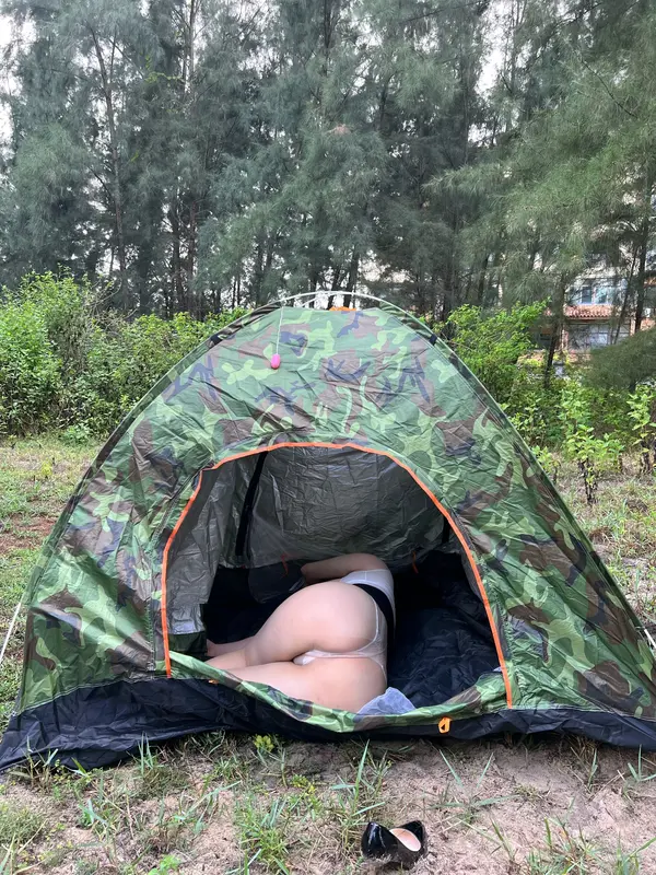 野外宿营 - 迷人的五姨太